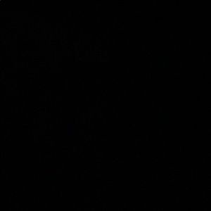 Meet your Posher, Miguel